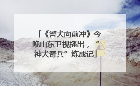《警犬向前冲》今晚山东卫视播出，“神犬奇兵”炼成记