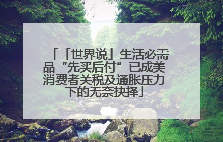 「世界说」生活必需品“先买后付”已成美消费者关税及通胀压力下的无奈抉择