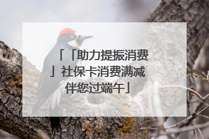 「助力提振消费」社保卡消费满减伴您过端午