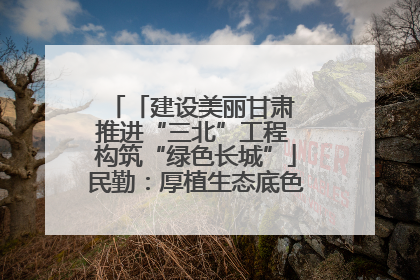 「建设美丽甘肃 推进“三北”工程 构筑“绿色长城”」民勤：厚植生态底色 筑牢绿色屏障