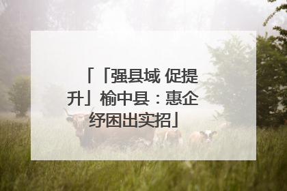 「强县域 促提升」榆中县：惠企纾困出实招