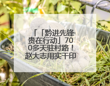 「黔进先锋·贵在行动」700多天驻村路！赵大志用实干印乡村振兴记