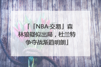 「NBA·交易」森林狼疑似出局，杜兰特争夺战渐趋明朗
