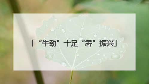 “牛劲”十足“犇”振兴