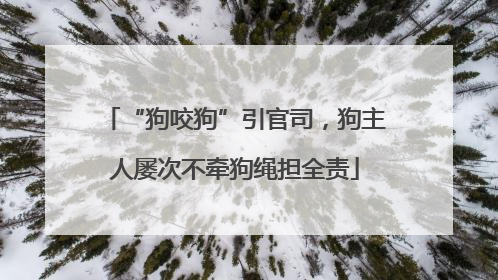 “狗咬狗”引官司，狗主人屡次不牵狗绳担全责