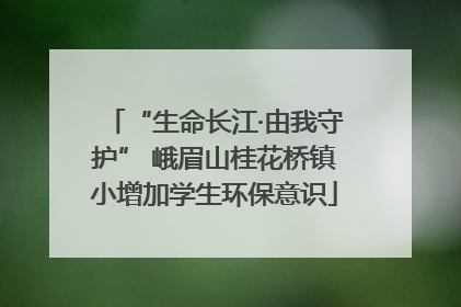 “生命长江·由我守护” 峨眉山桂花桥镇小增加学生环保意识