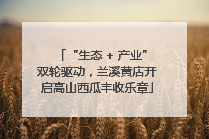 “生态 + 产业”双轮驱动，兰溪黄店开启高山西瓜丰收乐章