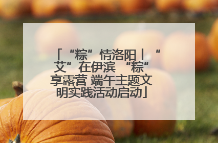 “粽”情洛阳丨“艾”在伊滨 “粽”享露营 端午主题文明实践活动启动
