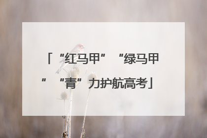 “红马甲”“绿马甲”“青”力护航高考