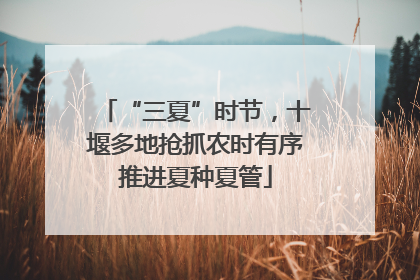 “三夏”时节，十堰多地抢抓农时有序推进夏种夏管