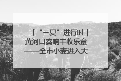 “三夏”进行时｜黄河口奏响丰收乐章——全市小麦进入大面积收获高峰期
