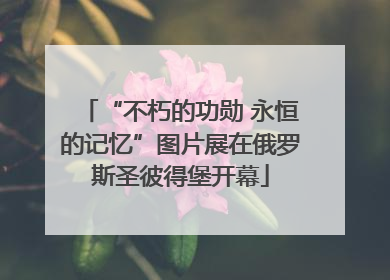 “不朽的功勋 永恒的记忆”图片展在俄罗斯圣彼得堡开幕