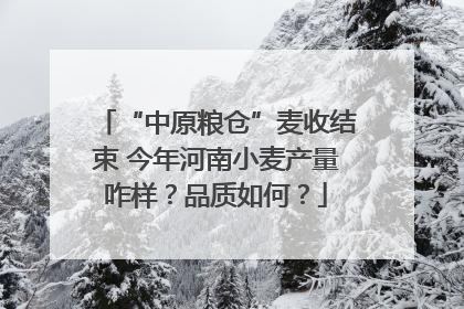 “中原粮仓”麦收结束 今年河南小麦产量咋样？品质如何？