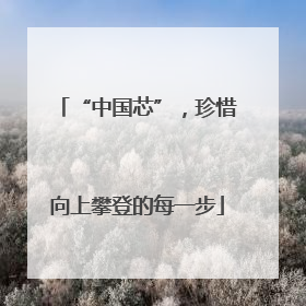 “中国芯”，珍惜向上攀登的每一步