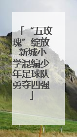 “五玫瑰”绽放 新城小学混编少年足球队勇夺四强