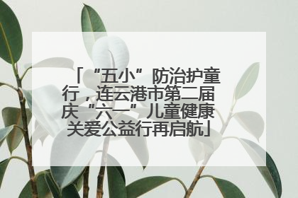 “五小”防治护童行，连云港市第二届庆“六一”儿童健康关爱公益行再启航