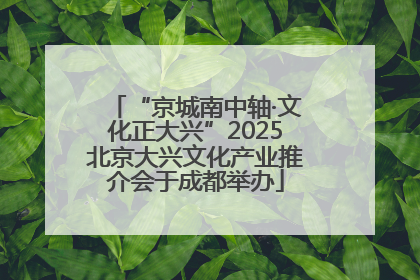 “京城南中轴·文化正大兴”2025北京大兴文化产业推介会于成都举办