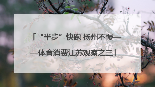“半步”快跑 扬州不慢——体育消费江苏观察之三