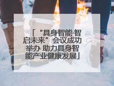 “具身智能·智启未来”会议成功举办 助力具身智能产业健康发展