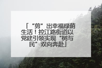 “剪”出幸福绿荫生活！控江路街道以党建引领实现“树与民”双向奔赴