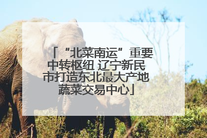 “北菜南运”重要中转枢纽 辽宁新民市打造东北最大产地蔬菜交易中心