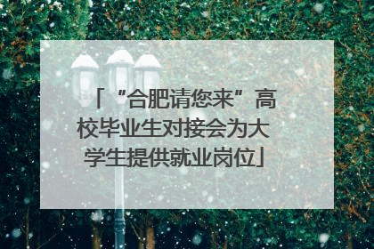 “合肥请您来”高校毕业生对接会为大学生提供就业岗位
