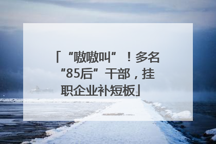 “嗷嗷叫”！多名“85后”干部，挂职企业补短板