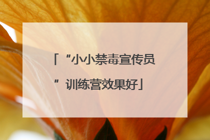 “小小禁毒宣传员”训练营效果好