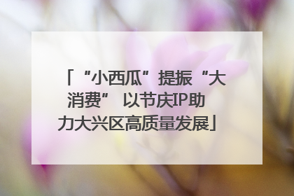 “小西瓜”提振“大消费” 以节庆IP助力大兴区高质量发展