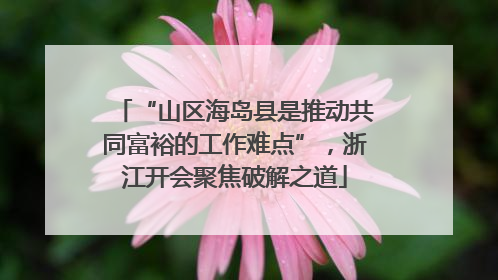 “山区海岛县是推动共同富裕的工作难点”，浙江开会聚焦破解之道