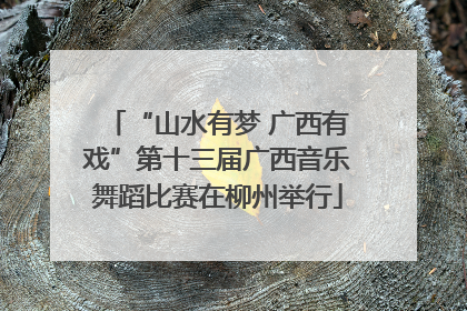 “山水有梦 广西有戏”第十三届广西音乐舞蹈比赛在柳州举行