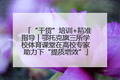 “干货”培训+精准指导丨鄂托克旗三所学校体育课堂在高校专家助力下“提质增效”