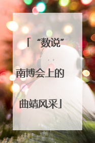 “数说”南博会上的曲靖风采
