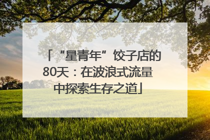 “星青年”饺子店的80天：在波浪式流量中探索生存之道