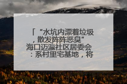 “水坑内漂着垃圾，散发阵阵恶臭” 海口迈瀛社区居委会：系村里宅基地，将派人打捞垃圾