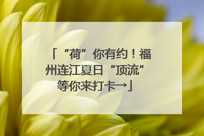 “荷”你有约！福州连江夏日“顶流”等你来打卡→
