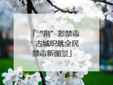 “荆”彩禁毒：古城织就全民禁毒新图景