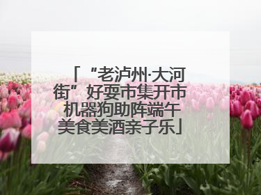 “老泸州·大河街”好耍市集开市 机器狗助阵端午美食美酒亲子乐