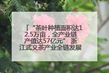 “茶叶种植面积达12.5万亩，全产业链产值达57亿元” 浙江武义茶产业全链发展“加速度”