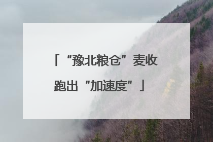 “豫北粮仓”麦收跑出“加速度”