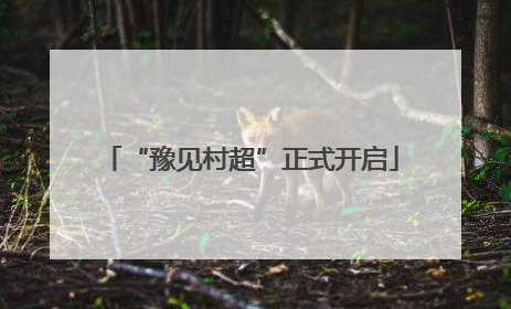 “豫见村超”正式开启