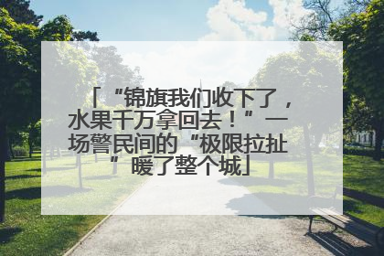 “锦旗我们收下了，水果千万拿回去！”一场警民间的“极限拉扯”暖了整个城