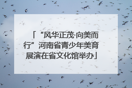 “风华正茂·向美而行”河南省青少年美育展演在省文化馆举办