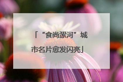 “食尚漯河”城市名片愈发闪亮