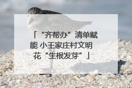 “齐帮办”清单赋能 小王家庄村文明花“生根发芽”