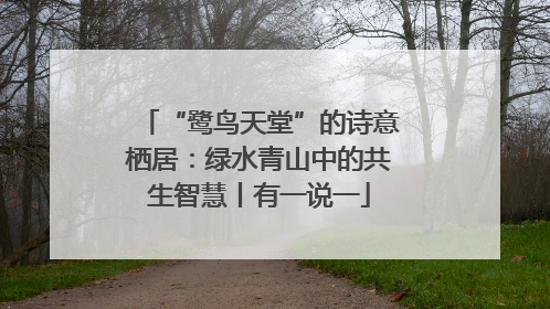“鹭鸟天堂”的诗意栖居：绿水青山中的共生智慧丨有一说一