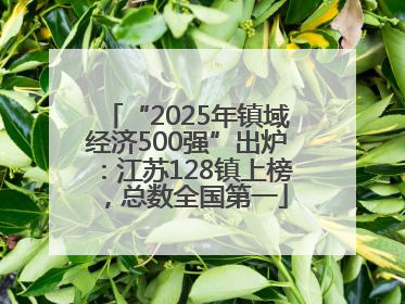 “2025年镇域经济500强”出炉：江苏128镇上榜，总数全国第一