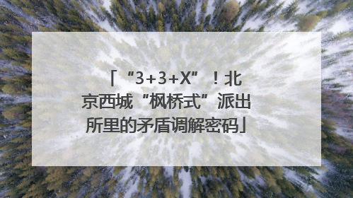 “3+3+X”！北京西城“枫桥式”派出所里的矛盾调解密码