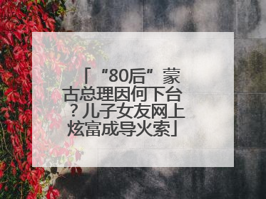 “80后”蒙古总理因何下台？儿子女友网上炫富成导火索