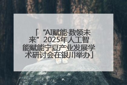 “AI赋能·数领未来”2025年人工智能赋能宁夏产业发展学术研讨会在银川举办